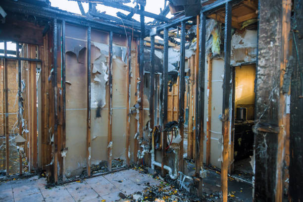 Professional Odor Removal technician working in Raymore, MO